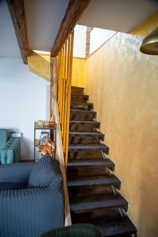 Apartmani Kacara Sremski Karlovci Exterior foto